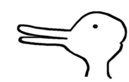 Wittgenstein's duck-rabbit